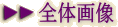 �S�̉摜